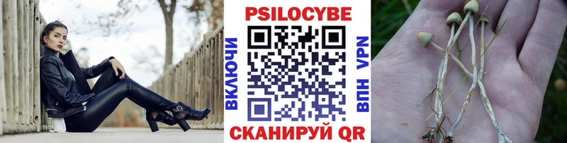 Галлюциногенные грибы GOLDEN TEACHER  MEGA зеркало  Верея  хочу наркоту 